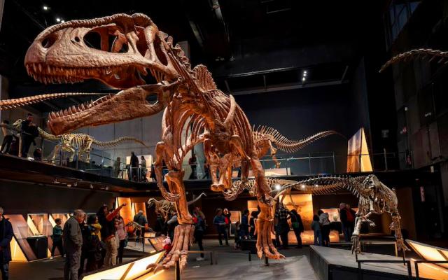 Visita Dinamizada a Tras las huellas de Patagotitán