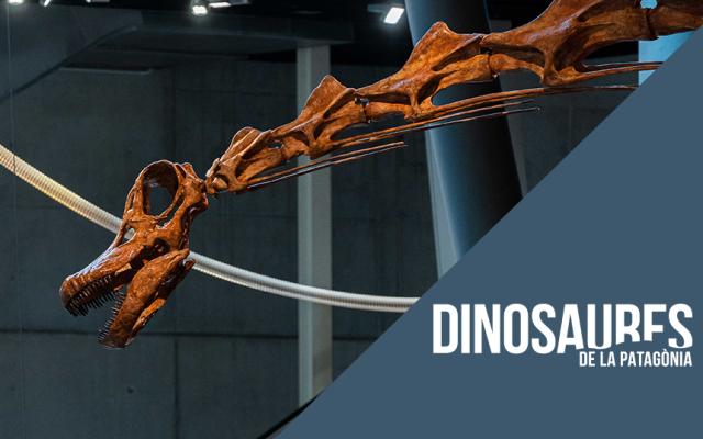Activitat  de l'exposició dinosaurios de la patagonia