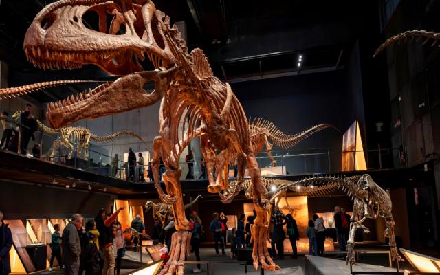 Tras las huellas de Patagotitán