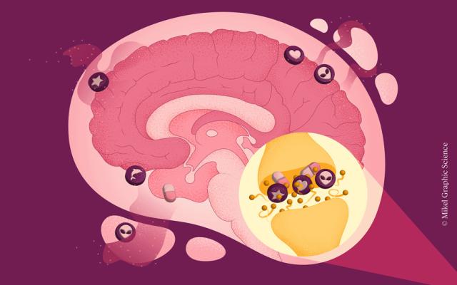 Actividad del ciclo ¡explícamelo! respuestas científicas a preguntas cotidianas