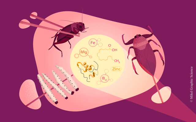 ¿Comeremos insectos en los platos gourmet del futuro?