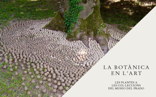 Activitat  de l'exposició la botánica en el arte. las plantas en las colecciones del museo del prado i del cicle cartografías del mundo vegetal. entre el arte, la ciencia y la experiencia