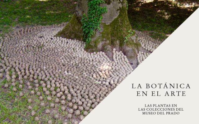Actividad de la exposición la botánica en el arte. las plantas en las colecciones del museo del prado y del ciclo cartografías del mundo vegetal. entre el arte, la ciencia y la experiencia
