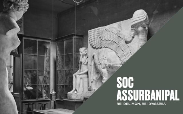 Activitat  del cicle asurbanipal o el fin del mundo mesopotámico