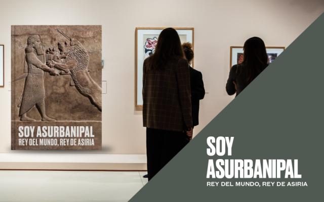 PACK: Visita libre y catálogo “Soy Asurbanipal”