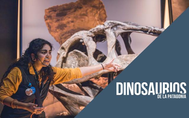 PACK: Visita comentada y cena temática a “Dinosaurios de la Patagonia”