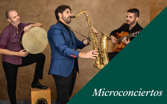Actividad del ciclo microconciertos