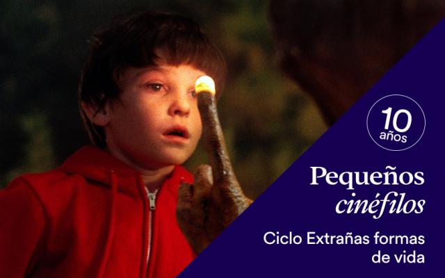Actividad del ciclo pequeños cinéfilos