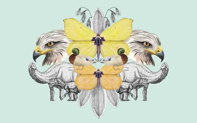 Talleres de ilustración científica en familia