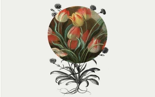 La botánica en el arte. Las plantas en las colecciones del Museo del Prado