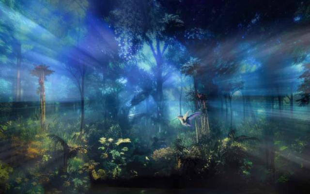 Somos naturaleza. Una experiencia audiovisual inmersiva